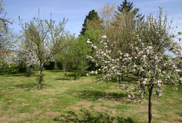 Les arbres fruitiers du Refuge LPO © Maryline Commoy